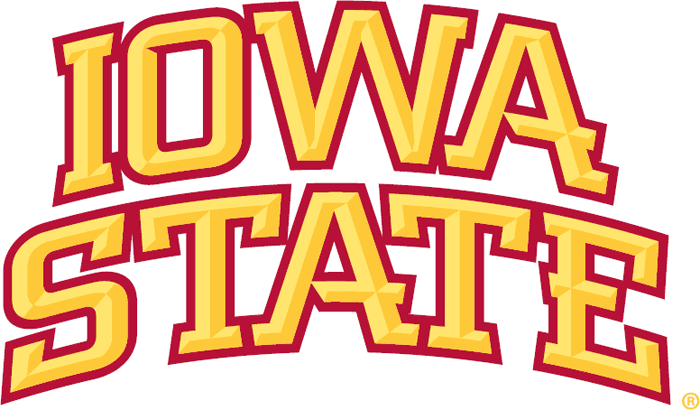 Iowa State Cyclones 2007-Pres Wordmark Logo DIY iron on transfer (heat transfer)